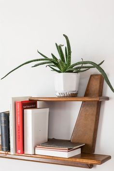 a wooden shelf holding books and a potted plant