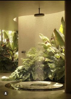 a fountain in the middle of a garden with lots of plants and trees around it