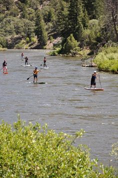 several people are paddling on their surfboards in the water while others stand up paddle boards