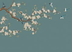 two birds are sitting on the branch of a tree with white flowers and blue sky in the background