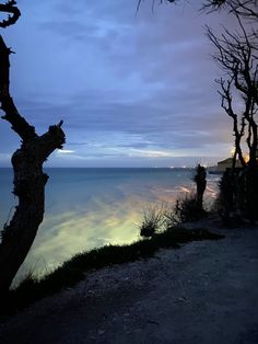 a bench sitting on the side of a cliff overlooking water and trees at night time