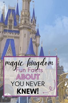 a castle with the words magic kingdom fun for kids about you never knew to know