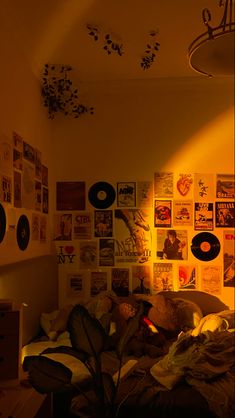 a bedroom with lots of records on the wall and a plant in the middle of the room