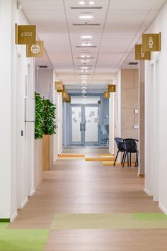 an empty hallway with chairs and plants on either side of the doors, leading to another room