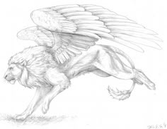 a pencil drawing of a lion with wings on it's back, running through the grass