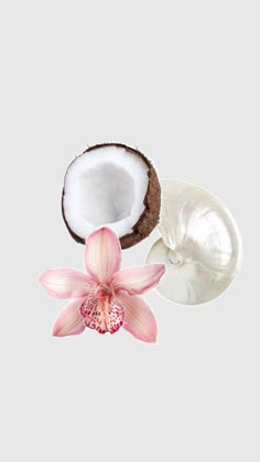 a pink flower next to an open coconut