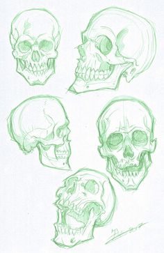 four different types of skulls are shown in this drawing