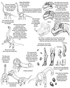 an illustrated guide to the different types of dinosaurs and how they can be found in them