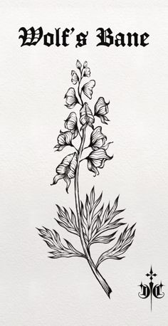 a drawing of a flower with the words wolf's bone on it