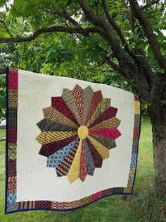 a quilt hanging from a tree in the grass