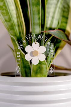 a plant with a white flower on it and a compass hanging from the top of it