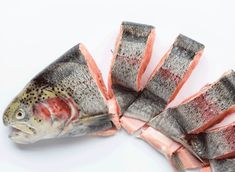 there is a fish that has been cut in half