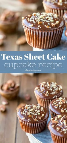 chocolate cupcakes with nuts on top and the words texas sheet cake in front