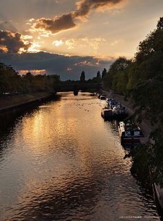 boats are lined up along the side of a river as the sun sets in the distance