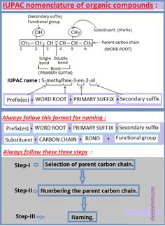 the diagram shows how to write an organ for each type of organ structure and function