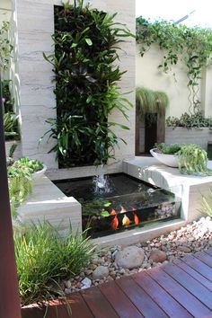 an outdoor garden with plants and water features