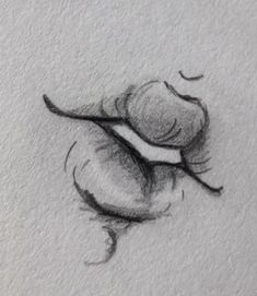 a pencil drawing of an onion on paper