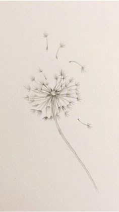 a drawing of a dandelion blowing in the wind on a white paper background