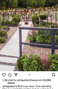 an outdoor garden with lots of plants and lights strung over the walkways, surrounded by gravel