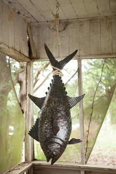 a fish hanging from the side of a window