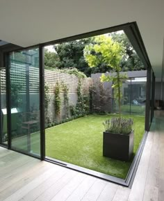 an open room with glass walls and grass in the center, leading to a small garden