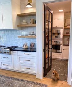 a dog sitting on the floor in front of a kitchen with white cabinets and appliances