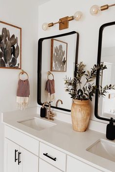 a bathroom with two sinks, mirrors and plants on the counter top in front of them