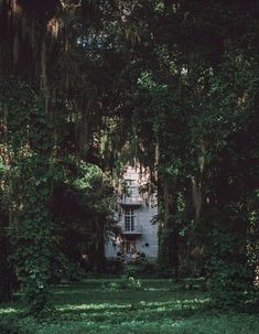 an old white house surrounded by trees and greenery in front of it is covered with moss