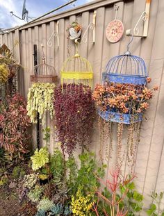 several birdcages hanging on the side of a building with plants in them and flowers growing out of them