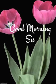 two pink flowers with the words good morning sis