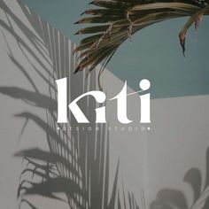 a palm tree casts a shadow on the wall next to it's name that reads kiti