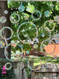 there are many bubbles floating in the air near a tree and fence with a bird feeder on it