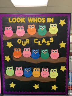 an bulletin board with owls and stars on it that says, look who's in our class