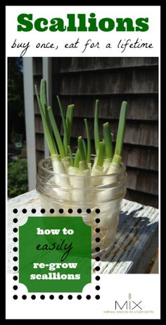 a jar filled with green onions sitting on top of a wooden table next to a house