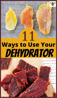 the title for 11 ways to use your dehydraator is shown above an image of raw beef