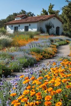 an old house surrounded by wildflowers and other flowers in the foreground with a path leading to it