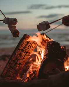 a campfire with marshmallows on it next to the ocean