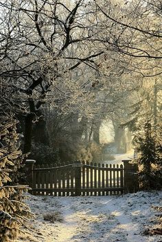 a gate in the middle of a snow covered park with trees and bushes on either side