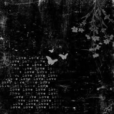 a black and white photo with words written on it, butterflies flying over the top