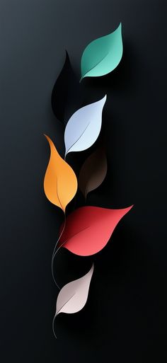 four different colored leaves on a black background