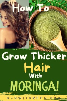 How to grow thicker hair with the power of Moringa? Find out at Glowitgreen.com, the best ways to use Moringa and the healthy hair benefits of this superfood, for thicker, longer, hair! Moringa Hair Growth, Moringa Powder For Hair Growth, Moringa Hair Mask, Moringa For Hair Growth, Benefits Of Moringa Powder, Superfood Benefits, Moringa Recipes, Benefits Of Moringa, Moringa Benefits