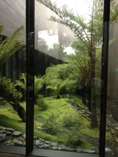 a window with some plants and rocks in it