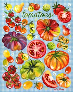 a painting of tomatoes on a blue checkered tablecloth with the words tomatoes written above them