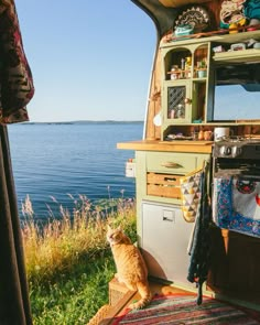 an orange tabby cat sitting in the doorway of a camper looking out at water