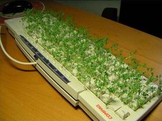 a computer keyboard covered in green plants on a wooden table with wires and plugs