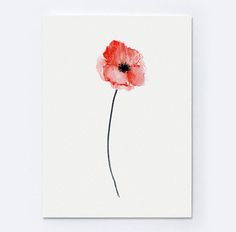 a red flower on a white background