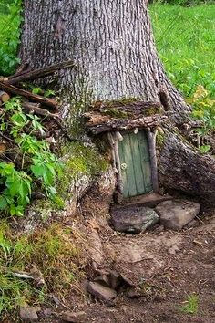 a tree stump house built into the side of a tree trunk in a grassy area