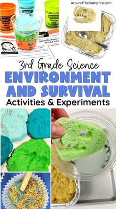 Third grade science experiments for learning about fossils. Third Grade Science Projects, 3rd Grade Science Experiments, 3rd Grade Science Projects, Third Grade Science Activities, Survival Activities, Easy Science Projects, 3rd Grade Activities