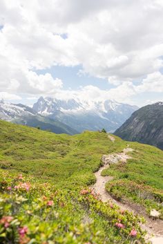 a dirt path in the middle of a lush green field with mountains in the background