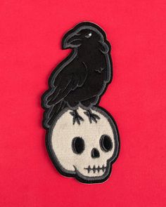 a black bird sitting on top of a skull